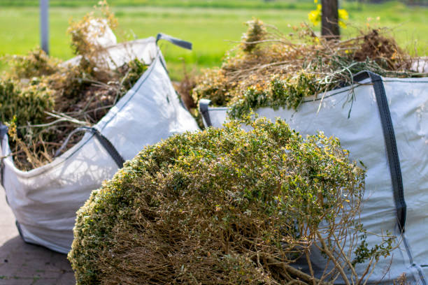 Reliable Marana, AZ Junk Removal Solutions